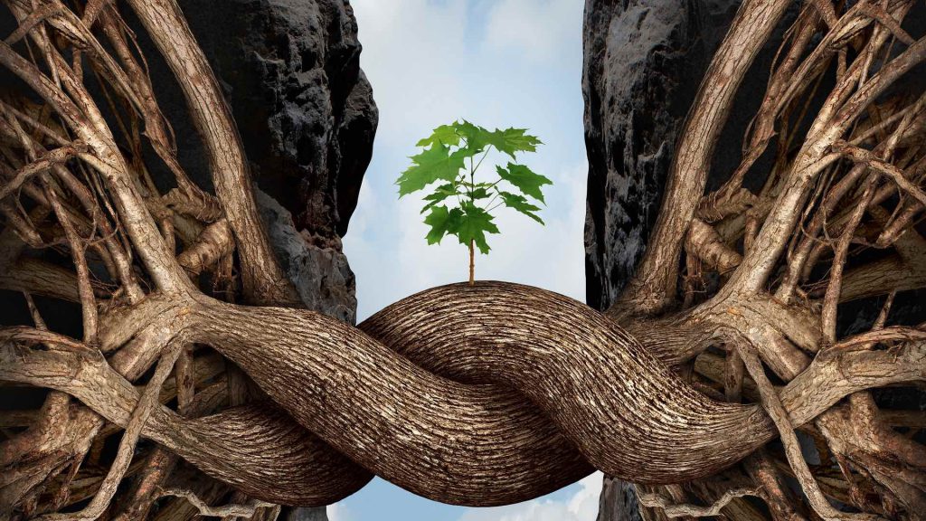 Reminder tweede ouderinformatieavond fusieonderzoek